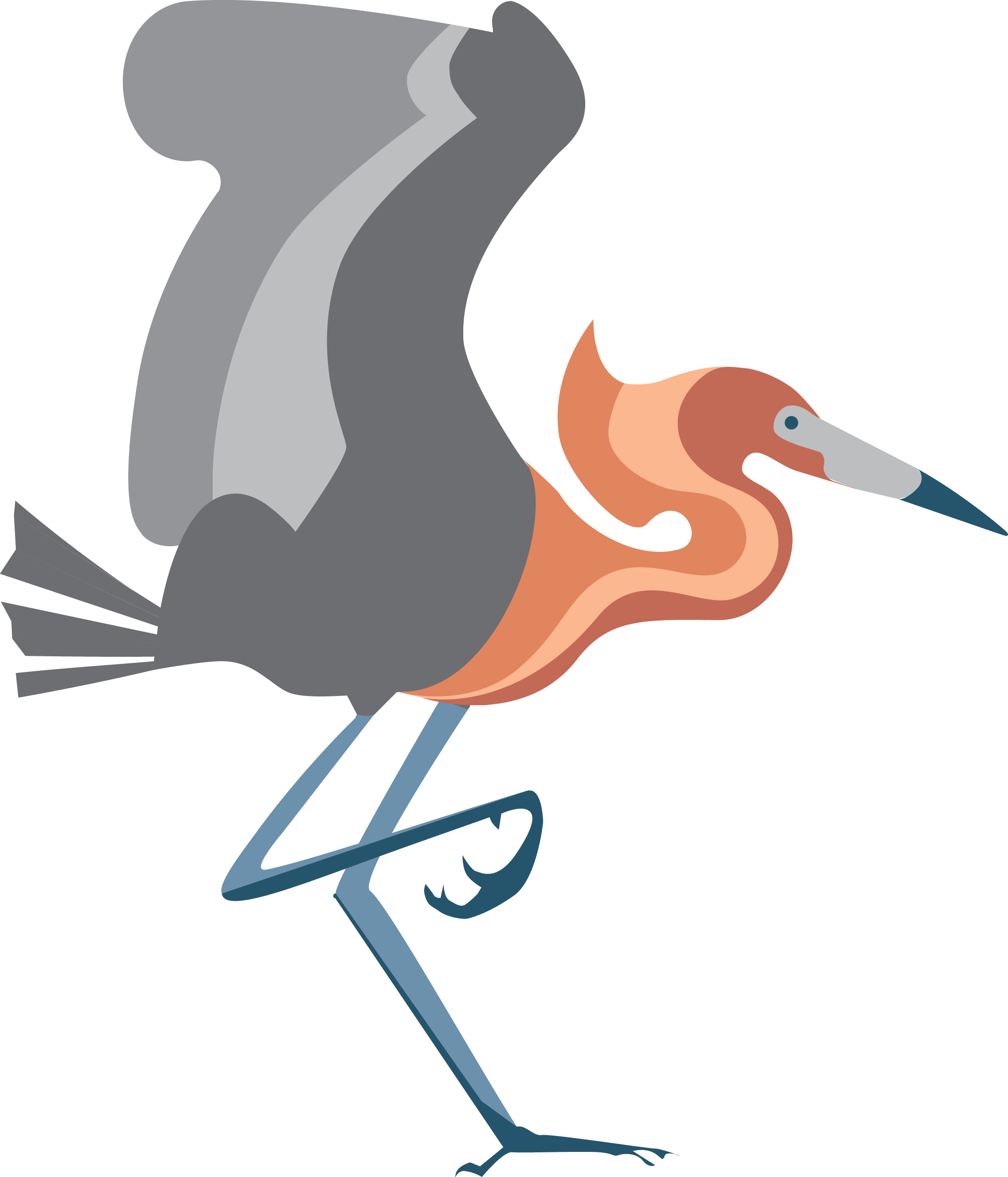 Matagorda Bay Birdfest The 4th Annual Matagorda Bay Birdfest